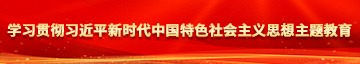 操美女的逼网站学习贯彻习近平新时代中国特色社会主义思想主题教育